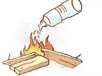 (בספר איור של נורה בתוך בית נורה)